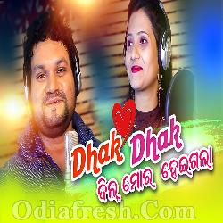 Dhak Dhak Dil Mora Heigala - Human Sagar, Punam